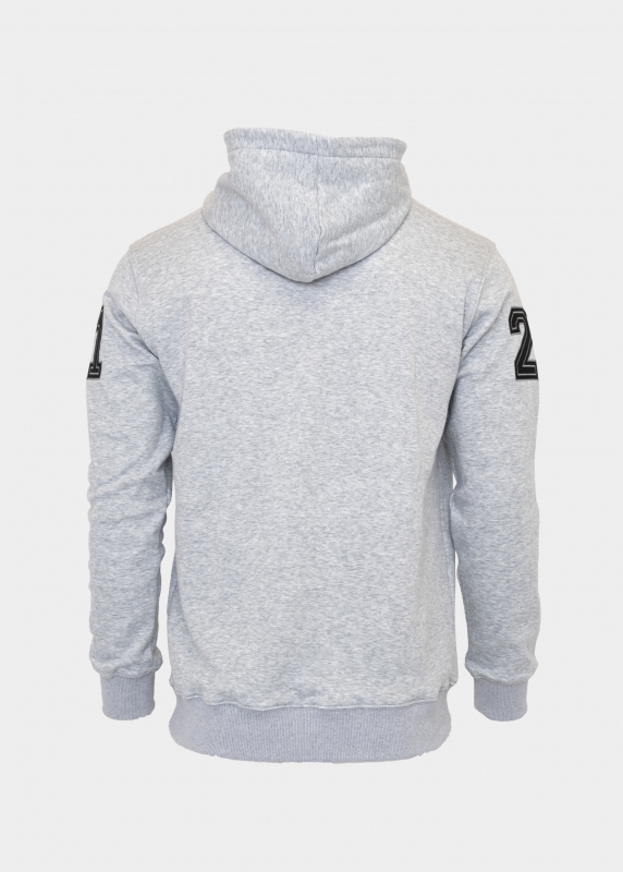 Hoodie "Eisblog" - grau